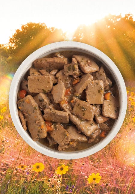 Acana Premium Chunks Beef Recipe in Bone Broth Wet Dog Food