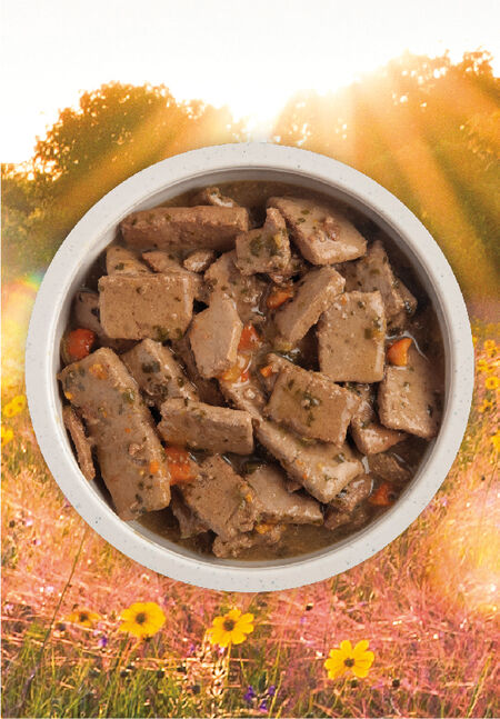 Acana Premium Chunks Lamb Recipe in Bone Broth Wet Dog Food