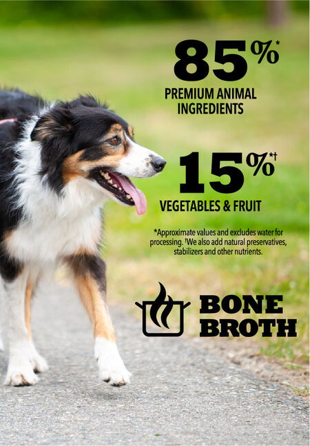 Acana Premium Chunks Lamb Recipe in Bone Broth Wet Dog Food