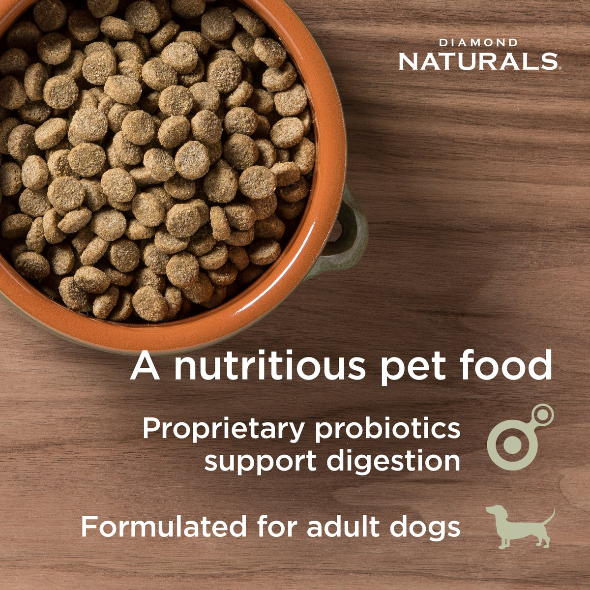 Diamond Naturals Large Breed Adult Lamb Meal Rice Formula Dry Dog Food Altoona IA Des Moines IA Urbandale IA West Des Moines IA Bone a Patreat