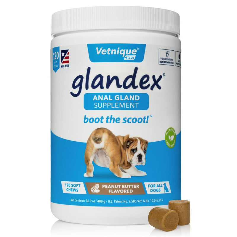 Glandex soft shop chews for dogs