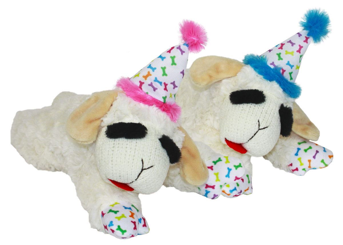 Multipet Lamb Chop with Birthday Hat Dog Toy Altoona IA Des Moines IA Urbandale IA West Des Moines IA Bone a Patreat