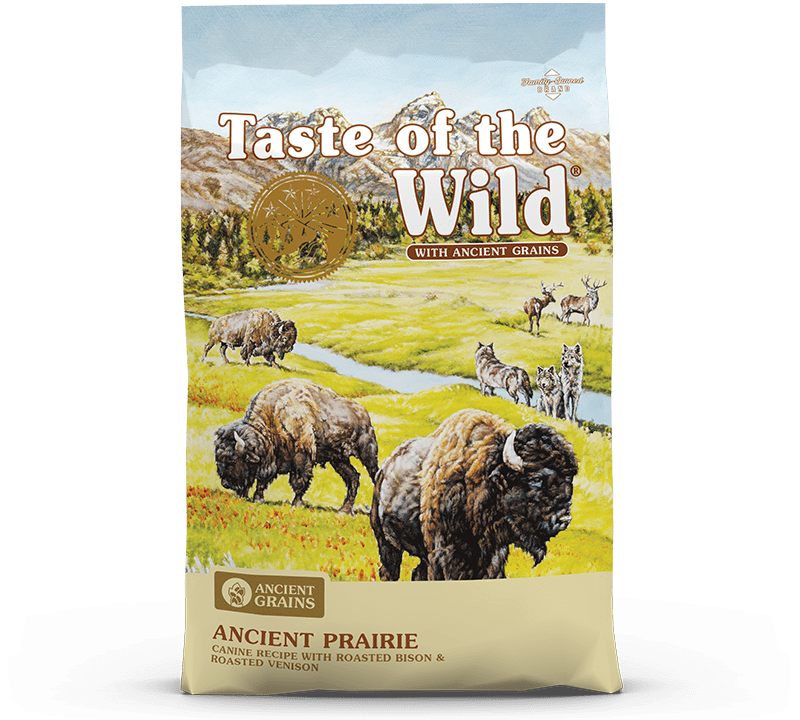 Of the wild dog food best sale