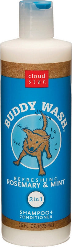 Buddy wash 2024