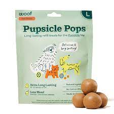 Assorted Dog Popsicles { Pupsicles } - The Cottage Market