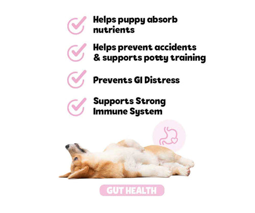 Snuggle Puppy - Puppy Bites Gut Health Supplement