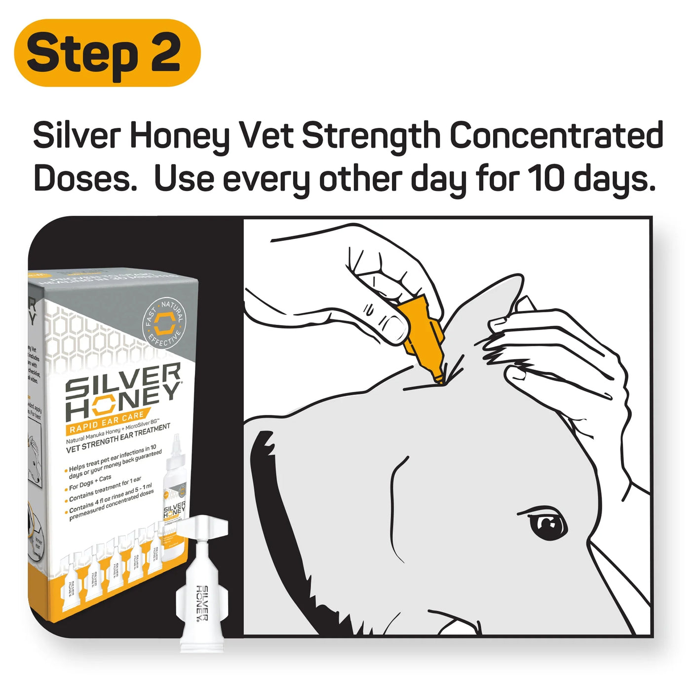 Rapid Ear Care Vet Strength Pet Wipes, 50 ct Jar by Silver Honey - Jeffers