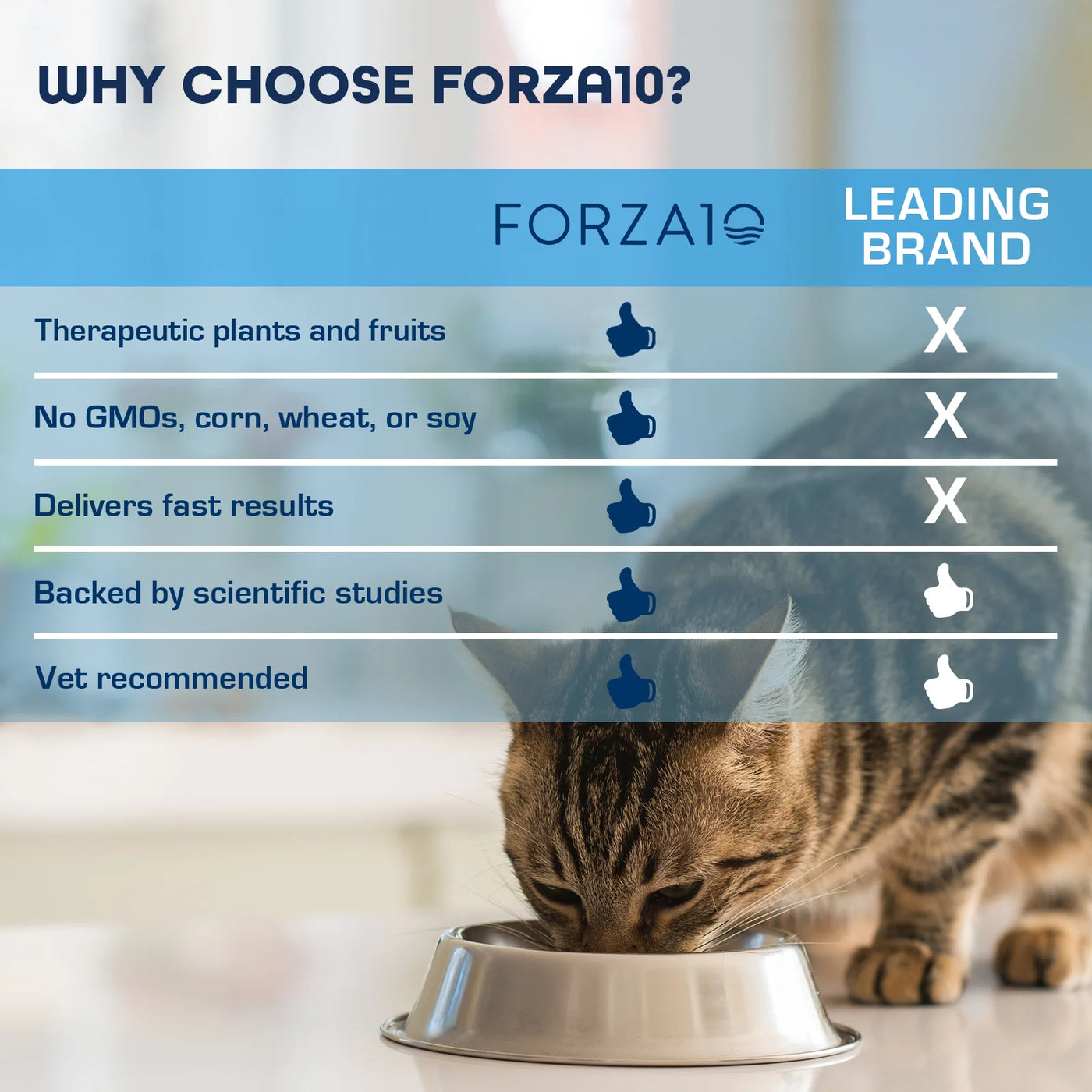 Forza10 Nutraceutic Active Renal Support Diet Dry Cat Food