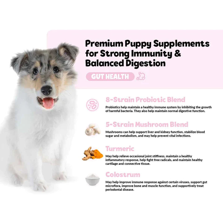 Puppy immunity hot sale