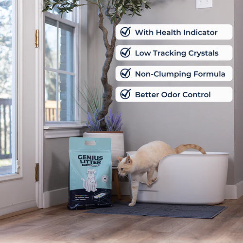 Genius Litter - Advanced Health Monitoring Cat Litter