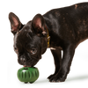 Woof Pet - The Pupsicle Interactive Toy