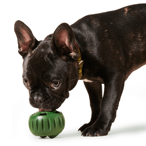 Woof Pet - The Pupsicle Interactive Toy