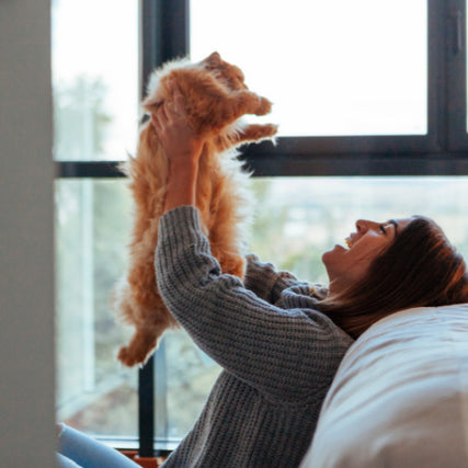 Cat Food & SuppliesCat being held in the air by its owner