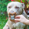 Bosco & Roxy's - Selfie Box Dog Treat