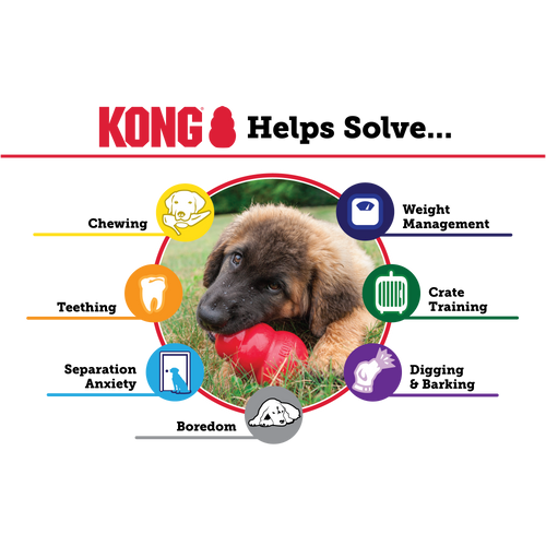 Kong - Puppy Dog Toy