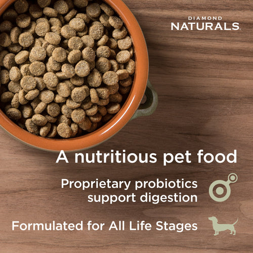 Diamond Naturals - Skin & Coat All Life Stages Salmon & Potato Formula Dry Dog Food