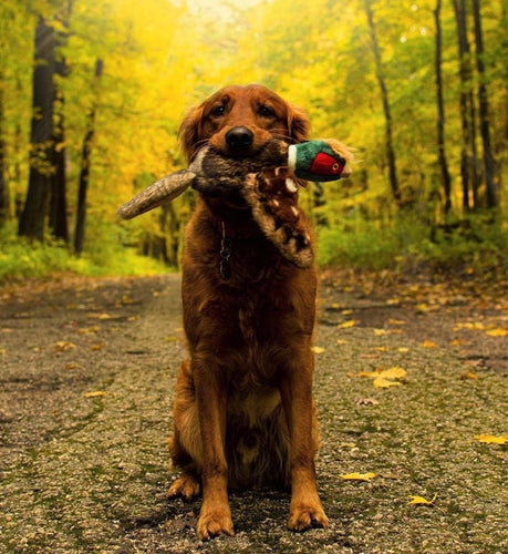 Fluff & Tuff - Ike Pheasant Dog Toy