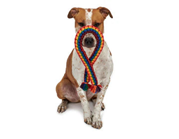 Jax & Bones - LGBTQ Rope Dog Toy