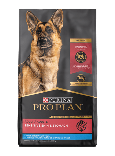 Purina Pro Plan - Adult Large Breed Sensitive Skin & Stomach Salmon & Rice Formula Dry Dog Food