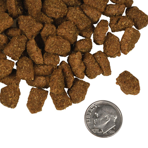 Fromm - Highlander Beef, Oats, 'n Barley Recipe Dry Dog Food