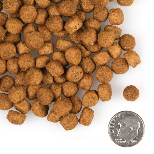 Fromm -  Large Breed Puppy Gold Dry Dog Food