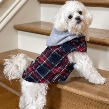 Doggie Design - Weekender Red & Black Plaid Flannel Dog Sweatshirt Hoodie