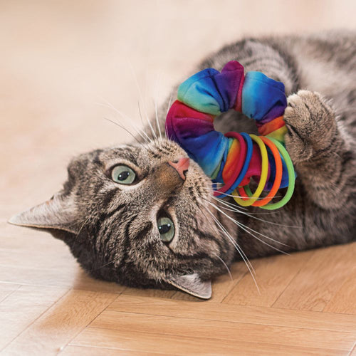 Kong - Active Scrunchie Cat Toy