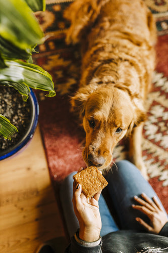 Heavenly Hounds - Relaxation Square Calming Dog Treat