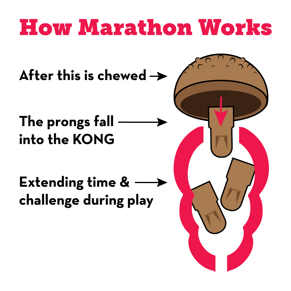 Kong marathon clearance replacement chews large