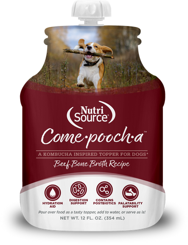 NurtiSource - Beef Bone Broth Recipe for Dogs