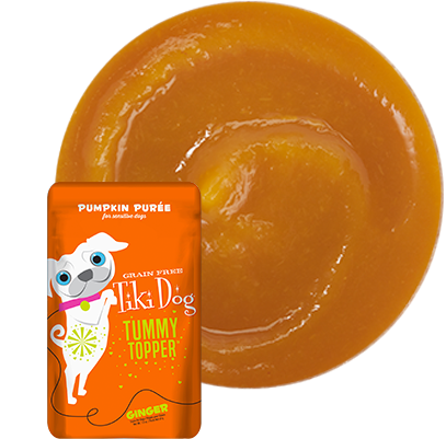 Tiki Dog - Tummy Topper Pumpkin Puree & Ginger Wet Dog Food