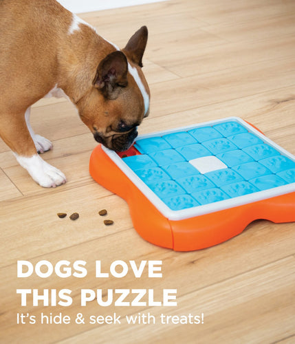 Outward Hound - Challenge Slider Interactive Treat Puzzle for Dogs