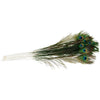 Vee Enterprises - Peacock Feather Cat Toy