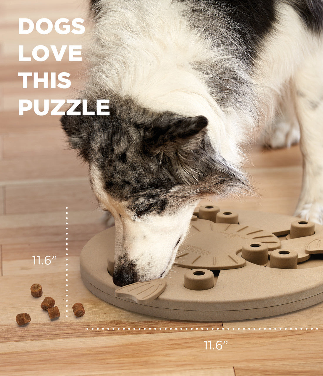 Nina Ottosson DogWorker, level 3 puzzle. Spin, scoot and treat! 