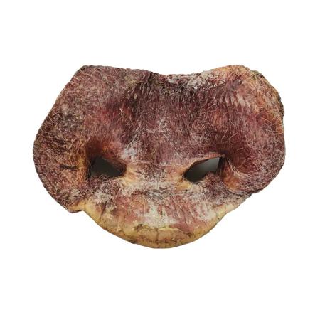 Vital Essentials Freeze-Dried Pig Snout Dog Chew