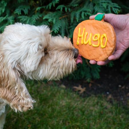 Personalized Jumbo Pumpkin Treat