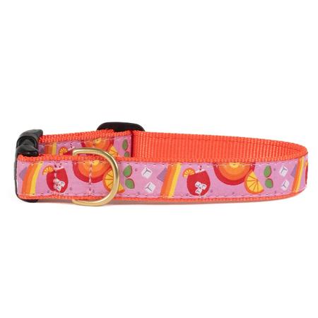 UpCountry Spritz Dog Collar