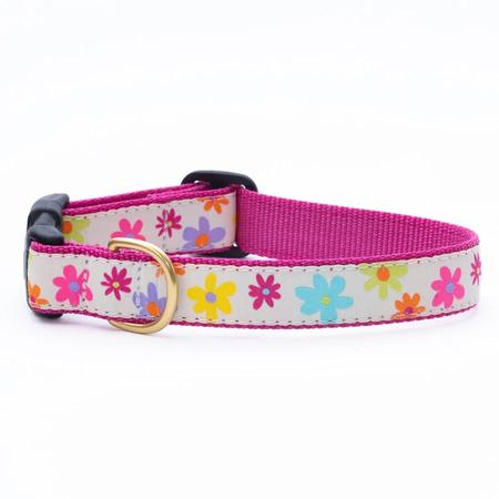 UpCountry Spring Fever Dog Collar