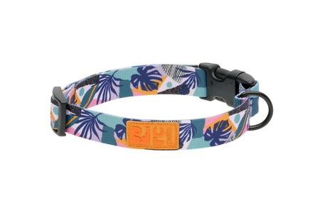RC Pets Eco Clip Collar - Mystic Monstera