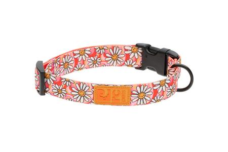 RC Pets Eco Clip Collar - Daisy Joy