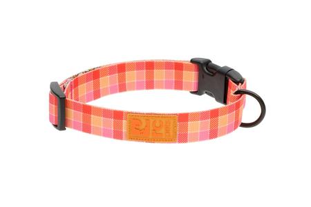 RC Pets Eco Clip Collar - Gleeful Gingham