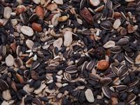 Des Moines Feed - Fruit & Nut Bird Seed Blend (Item #818625010720)