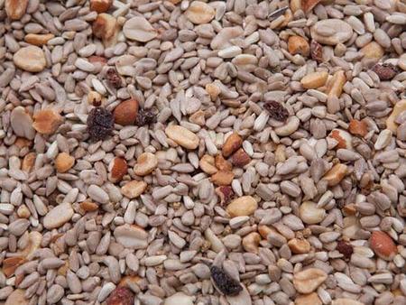 Des Moines Feed - Regal Bird Seed Blend