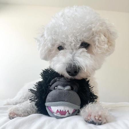 Tall Tails 2-in-1 Fetch Ball Dog Toy Gorilla