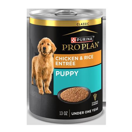 Purina Pro Plan Puppy Chicken and Rice Wet Dog Food 13oz