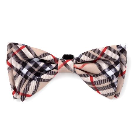 The Worthy Dog Bias Plaid Bow Tie Sm